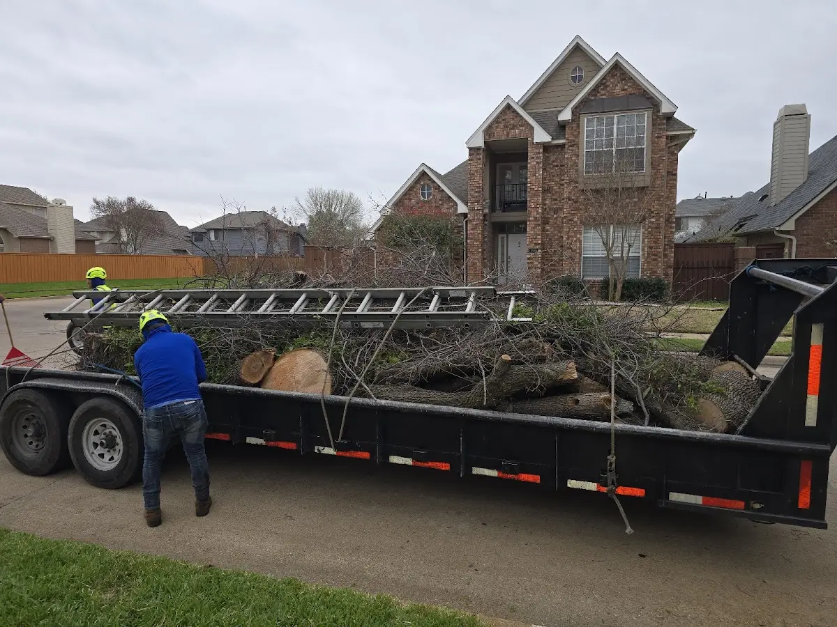 Expert Crown Reduction with proper safety equipment in Rohwer